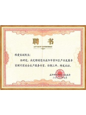 ​​Yiyang City Ziyang District Urban Development and Safety Production Expert​